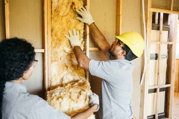 Best Spray Foam Insulation Solutions  in USA